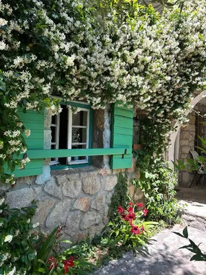 a window with a green shutter and flowers at Lake house Puro in Dodoši