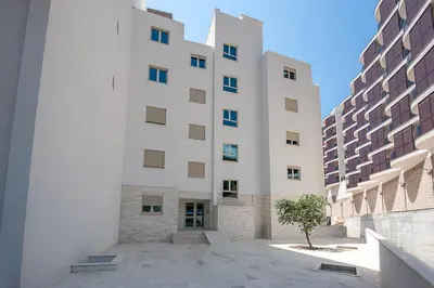 a tall white building with a tree in front of it at Adriatic Sunshine Apartment in Budva
