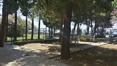 a park with a bunch of trees and benches at Vila Branka in Čanj