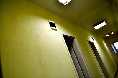 an empty room with green walls and windows at Vila Branka in Čanj