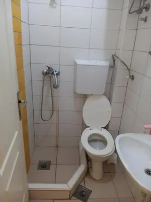 a bathroom with a toilet and a shower and a sink at Vila Branka in Čanj