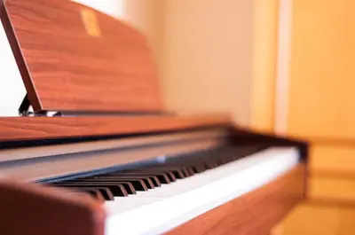 a close up of a piano keyboard at Apartments Rudovic in Ulcinj