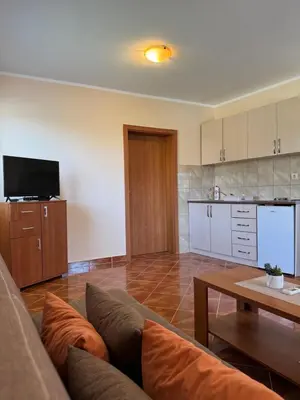 a living room with a couch and a table at Apartmani Stanisic in Čanj