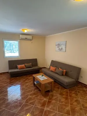 a living room with two couches and a coffee table at Apartmani Stanisic in Čanj
