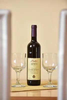 a bottle of wine and two wine glasses on a table at Apartmani Stanisic in Čanj