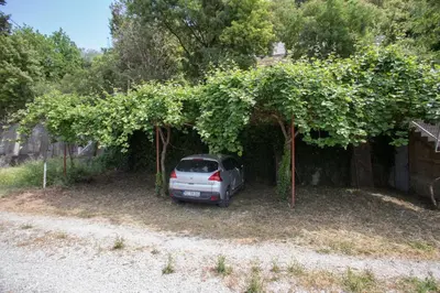 a car is parked under a tree with vines at Do Re Mi Apartments in Budva