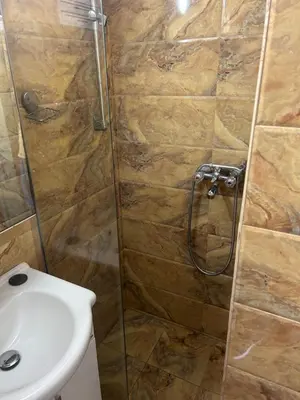 a bathroom with a shower and a toilet and a sink at Resort Stikovic in Dobra Voda