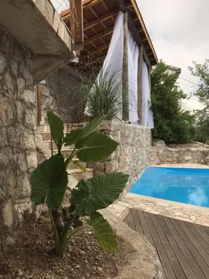 a plant in front of a swimming pool at Apartments Bonaca in Budva