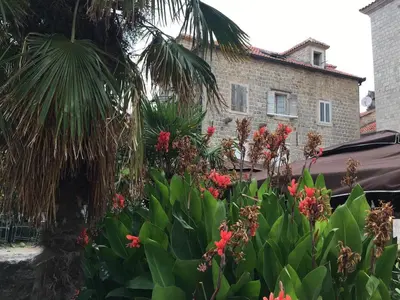 a palm tree and flowers in front of a building at Squere 44 Apartment in Budva