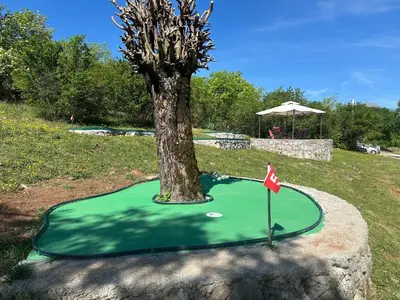 a tree on a putting green with a red flag at GRANDFATHER'S Secret in Danilovgrad