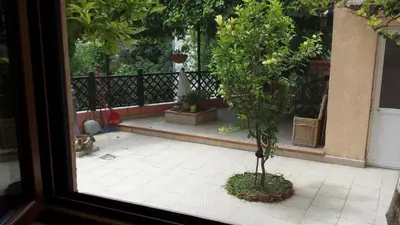 a small tree sitting on a patio outside a window at Sole Apartments in Kotor