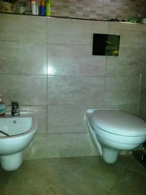 a bathroom with a toilet and a sink at De Luxe Apartment with a Seaview in Petrovac na Moru