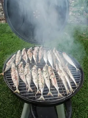 a bunch of fish cooking on a grill at Apartmani Begovic in Bar