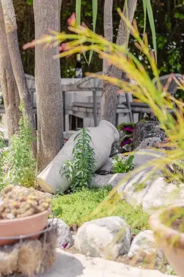 a garden with rocks and plants and trees at Apartments Bazar in Ulcinj