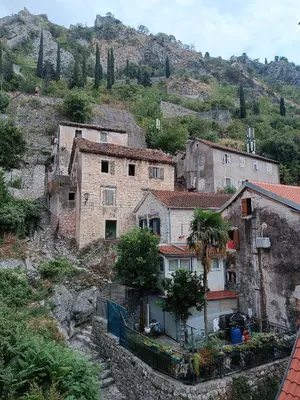 a group of buildings on a hill with trees at Guesthouse BiT Accommodation in Kotor