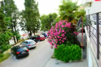 a bunch of cars parked on a street with pink flowers at Apartments Stojanovic in Ulcinj