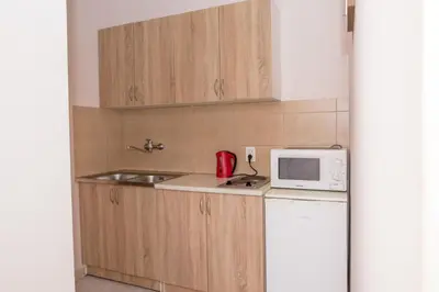 a small kitchen with a sink and a microwave at Apartments Vjera Petrovac in Petrovac na Moru