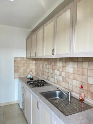 a kitchen with a sink and a stove and cabinets at Apartments Vali in Ulcinj