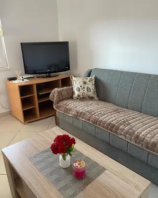a living room with a couch and a tv at Apartments Vali in Ulcinj