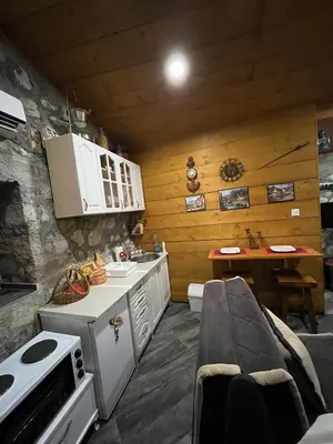 a kitchen with a stove and a sink in a room at Apartman Sofranac in Rijeka Crnojevića