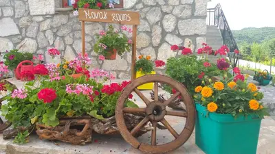 a flower garden in front of a stone building with flowers at Village house - Novak Rijecani in Rijeka Crnojevića