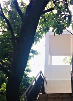 a staircase next to a tree next to a building at Guesthouse Berlin in Bar