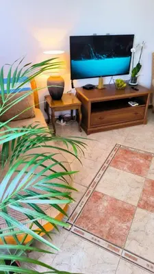 a living room with a flat screen tv and a plant at Apartment Dmitr Petrovac in Petrovac na Moru