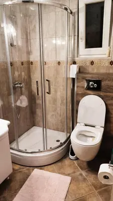 a bathroom with a shower and a toilet at Apartment Dmitr Petrovac in Petrovac na Moru