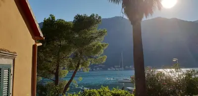 a view of a body of water with a palm tree at Garden apartmant near sea in Kotor
