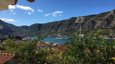 a view of a harbor with a boat in the water at Apartment Apollo in Kotor