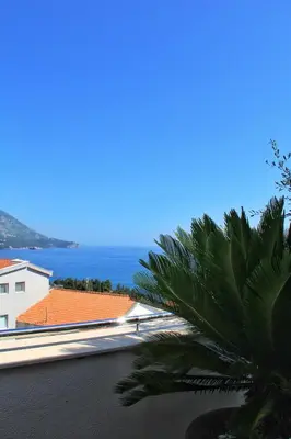 a view of the ocean from a building with a palm tree at Lux M & A Apartments in Budva