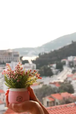 a person holding a pink cup with flowers in it at Lux M & A Apartments in Budva