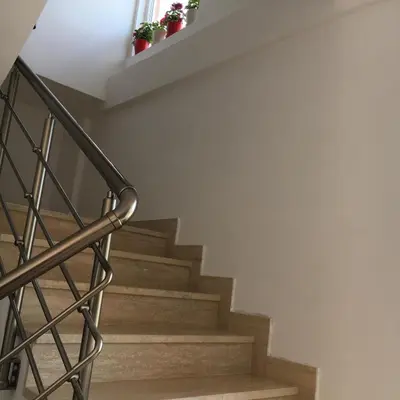 a stairwell with stairs with potted plants on it at Apartments Kapisoda in Cetinje