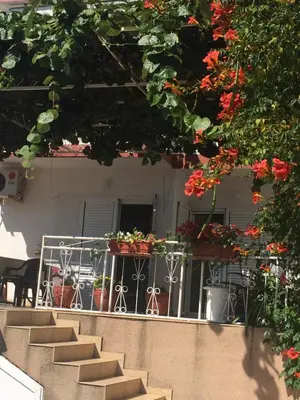 a group of stairs with flowers on a balcony at Tina Rooms in Ulcinj