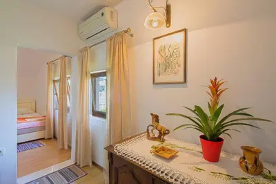 a room with a table with a plant on it at Astor apartments in Budva
