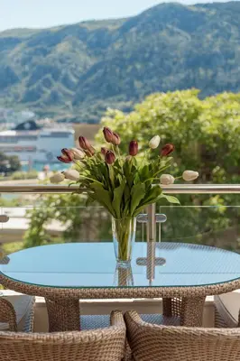 a vase of flowers sitting on a table on a balcony at Apartments Los Olivos in Kotor