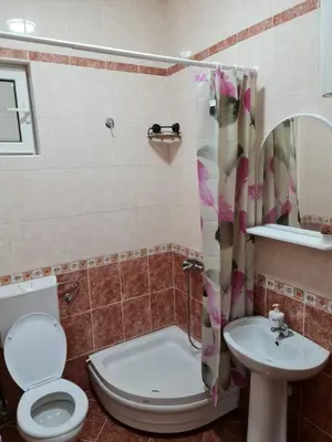a bathroom with a toilet and a sink at Apartmani Sanja in Bar