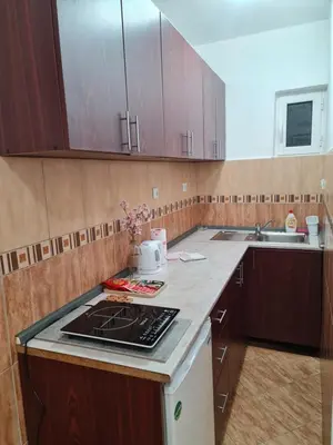 a kitchen with wooden cabinets and a counter top at Apartmani Sanja in Bar
