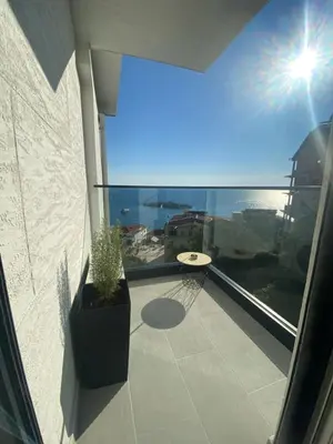 a balcony with a potted plant and a basketball hoop at Apartments Dzaleta in Sveti Stefan