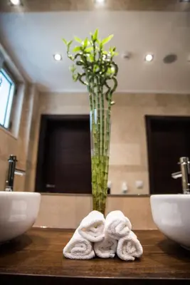 a bathroom with a vase with a plant in it at Boutique Hotel 