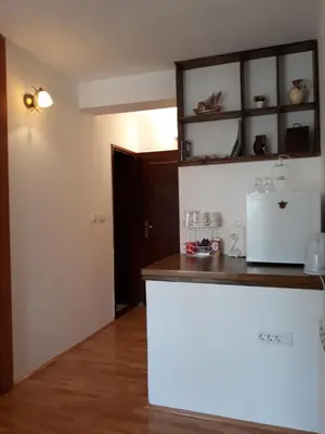 a kitchen with a counter and a white refrigerator at Guesthouse Vukasevic in Virpazar