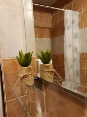 two plants sitting on a glass counter in a bathroom at Guesthouse Vukasevic in Virpazar