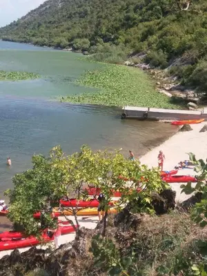 a group of boats on the shore of a lake at Guesthouse Vukasevic in Virpazar
