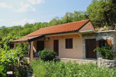 a house in the middle of a vineyard at Holiday Home Gazevic in Virpazar