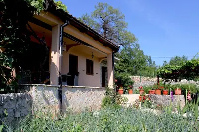 a small house with a stone wall and some plants at Holiday Home Gazevic in Virpazar