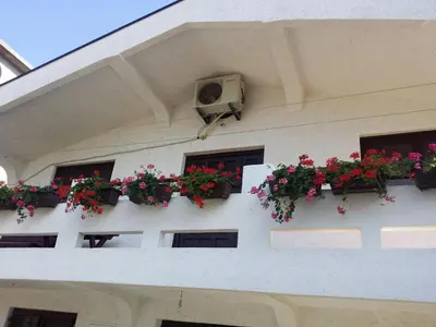 a building with flower boxes on the side of it at Apartman Tripkovic in Bar