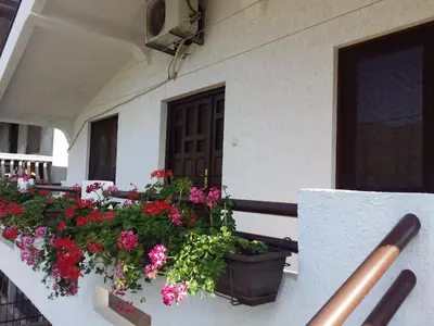 a balcony with flowers inpots on a building at Apartman Tripkovic in Bar