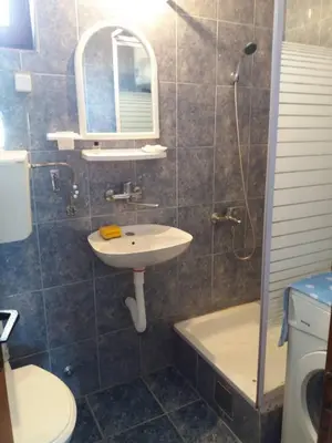 a bathroom with a sink and a toilet and a shower at Apartman Tripkovic in Bar