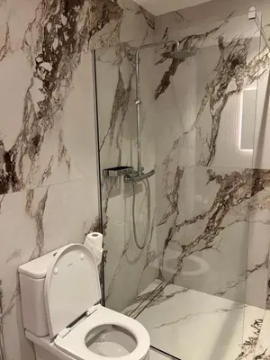 a bathroom with a toilet and a walk in shower at Sea Star Apartments in Ulcinj