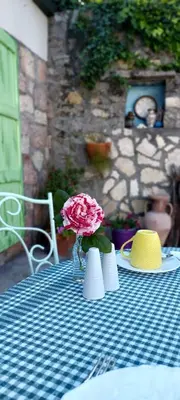 a table with a pink flower in a vase on it at Boutique Home Saltaragazza in Petrovac na Moru